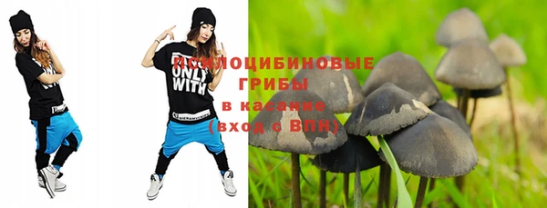 PSILOCYBIN Алексеевка