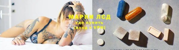 спайс Алзамай