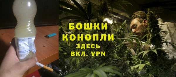 PSILOCYBIN Алексеевка