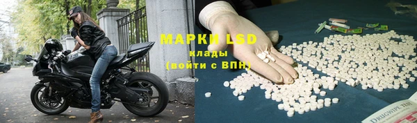 PSILOCYBIN Алексеевка