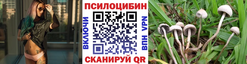 Галлюциногенные грибы Magic Shrooms  купить наркоту  Ладушкин 